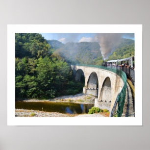 Steam train on bridge poster