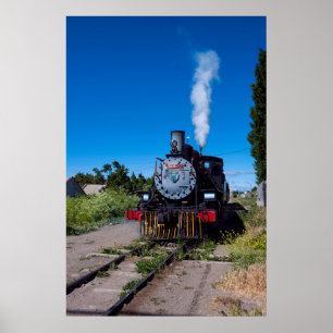 Steam Train On La Trochita Poster