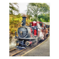 STEAM TRAIN