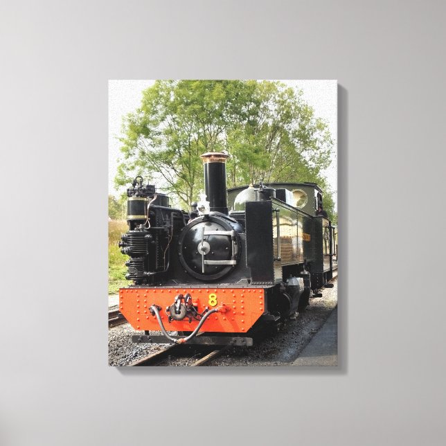 STEAM TRAINS CANVAS PRINT (Front)