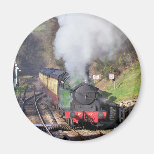 STEAM TRAINS MAGNET