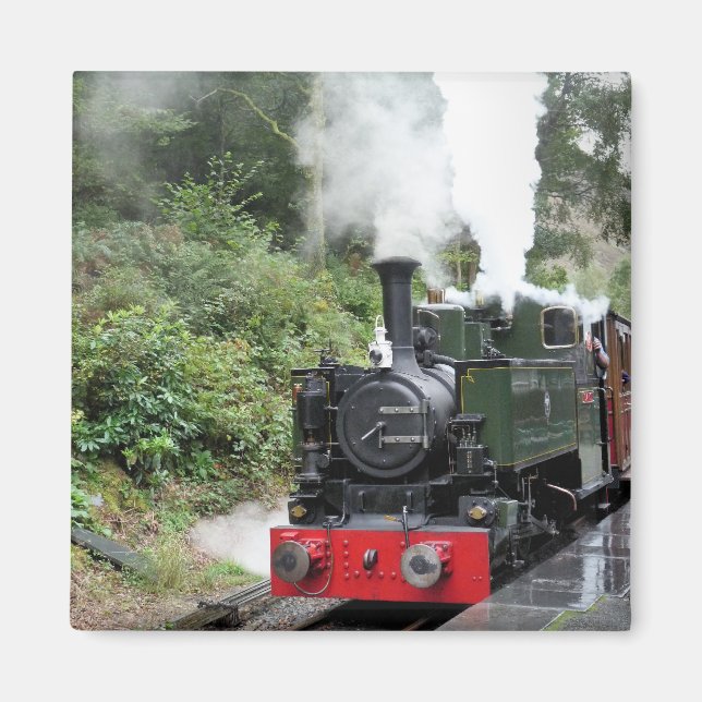 STEAM TRAINS MAGNET (Front)