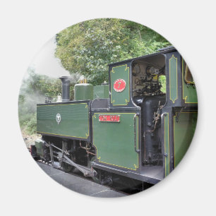 STEAM TRAINS MAGNET