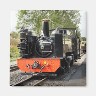 STEAM TRAINS MAGNET