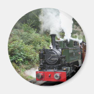 STEAM TRAINS MAGNET