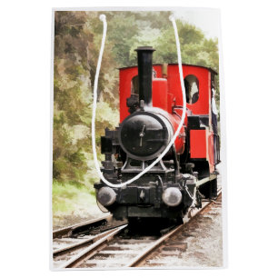 STEAM TRAINS MEDIUM GIFT BAG