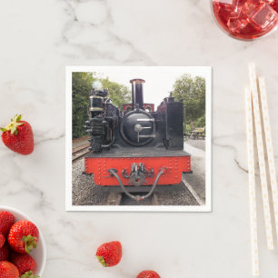 STEAM TRAINS NAPKIN