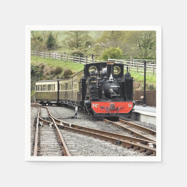 STEAM TRAINS NAPKIN (Front)
