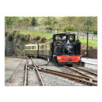 STEAM TRAINS