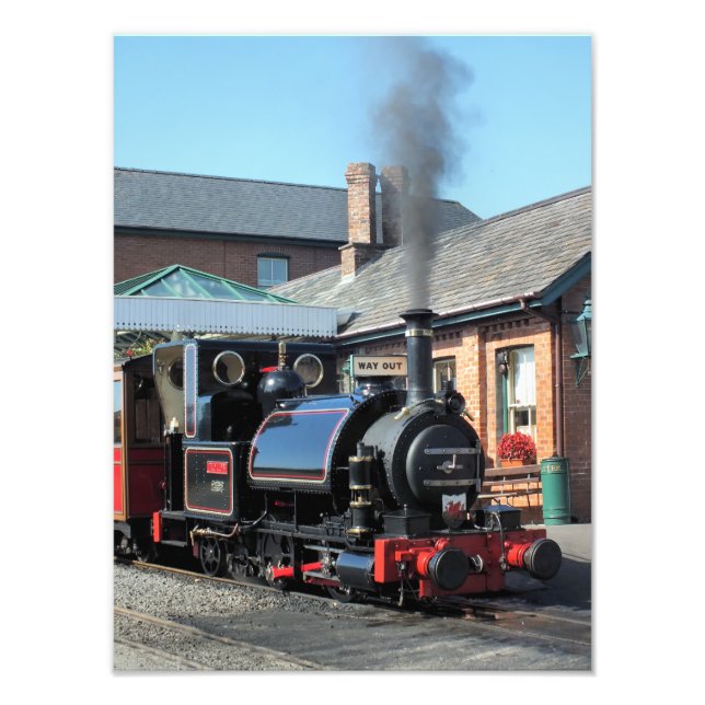 STEAM TRAINS PHOTO PRINT (Front)