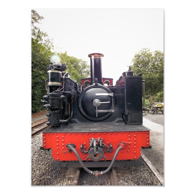 STEAM TRAINS PHOTO PRINT (Front)