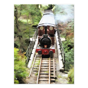 STEAM TRAINS PHOTO PRINT