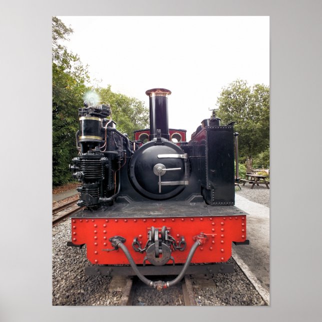 STEAM TRAINS POSTER (Front)