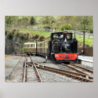 STEAM TRAINS