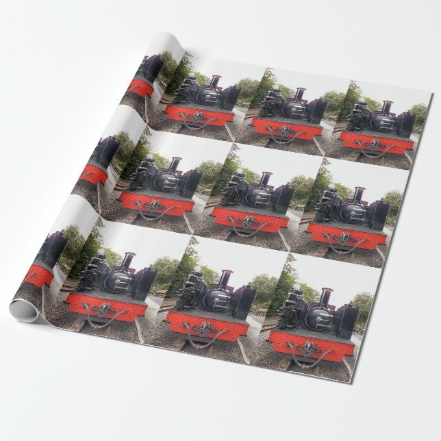 STEAM TRAINS WRAPPING PAPER (Unrolled)