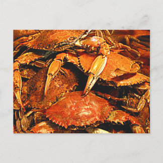 Steamed Maryland Hard Crabs Postcard