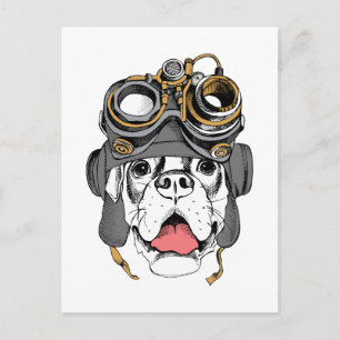 Steampunk Boxer Postcard