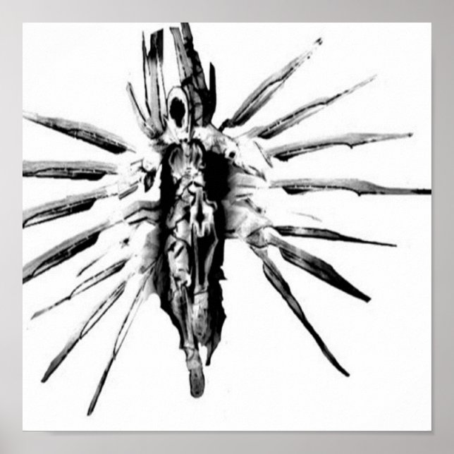 Steampunk Valkyrie Poster (Front)