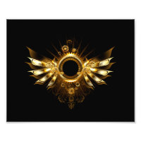 Steampunk wings