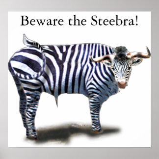 Steebra Poster