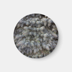 Steel, grey, green and blue spruce classy button magnet