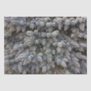 Steel, grey, green and blue spruce classy wrappin tissue paper