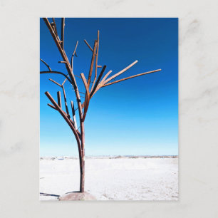 Steel Tree, Coober Pedy Australia Postcard