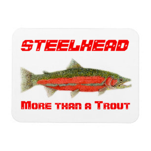 Steelhead- More than a Trout Magnet