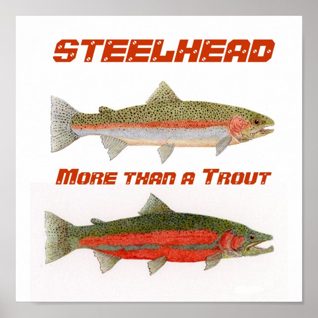 Steelhead Poster (Front)