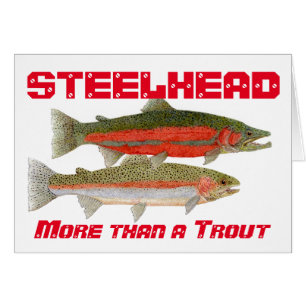 Steelhead Trout