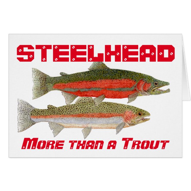 Steelhead Trout (Front Horizontal)