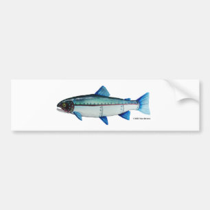 Steelhead Trout; Bumper Sticker