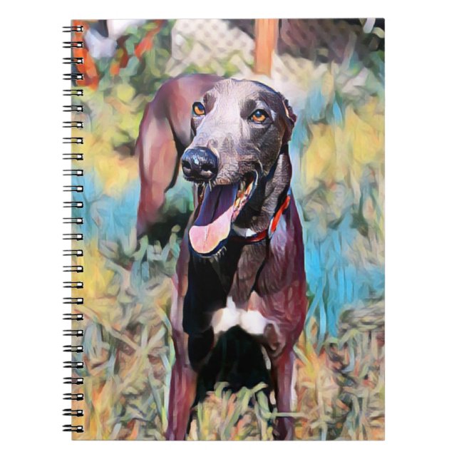 Steely Notebook (Front)