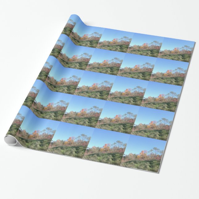Steep Hill Wrapping Paper (Unrolled)