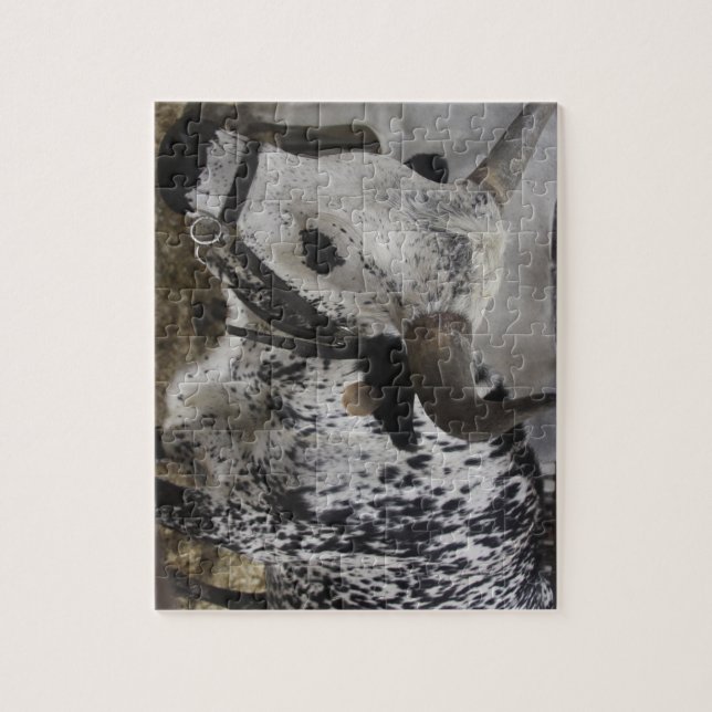 Steer Jigsaw Puzzle (Vertical)