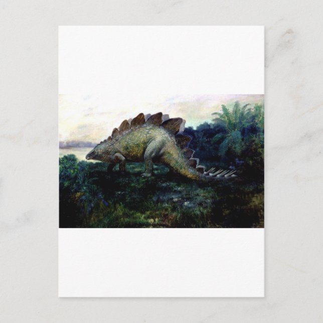 stegosaurus-4 postcard (Front)