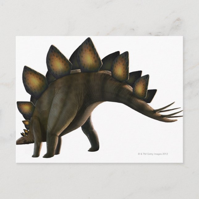 Stegosaurus dinosaur, computer artwork. postcard (Front)