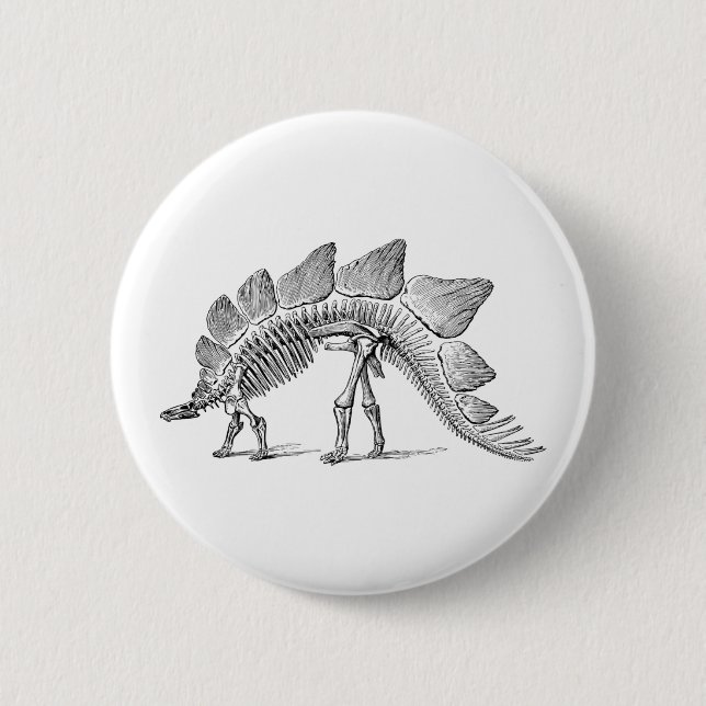 Stegosaurus Dinosaur Skeleton Fossil 6 Cm Round Badge (Front)