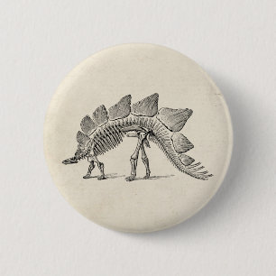 Stegosaurus Dinosaur Skeleton Fossil 6 Cm Round Badge