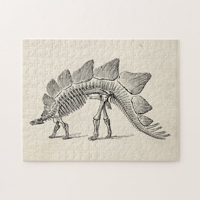 Stegosaurus Dinosaur Skeleton Fossil Jigsaw Puzzle (Horizontal)