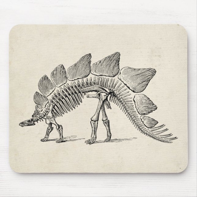 Stegosaurus Dinosaur Skeleton Fossil Mouse Pad (Front)