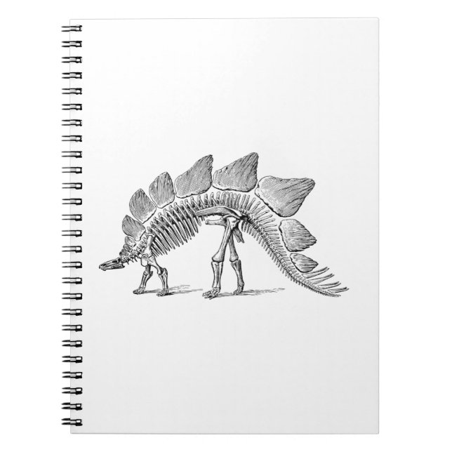 Stegosaurus Dinosaur Skeleton Fossil Notebook (Front)