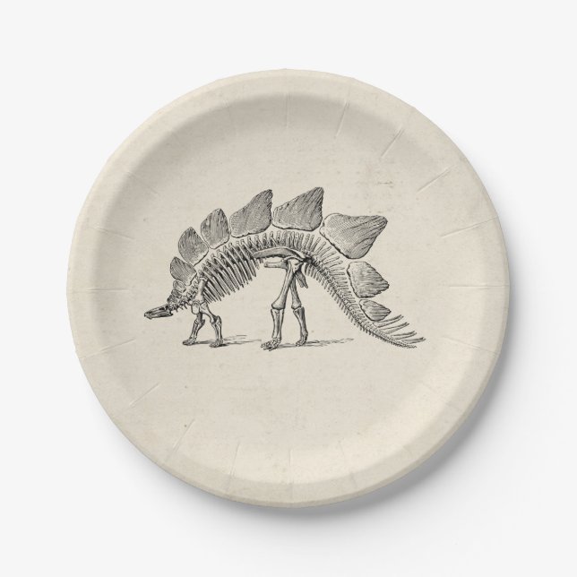 Stegosaurus Dinosaur Skeleton Fossil Paper Plate (Front)