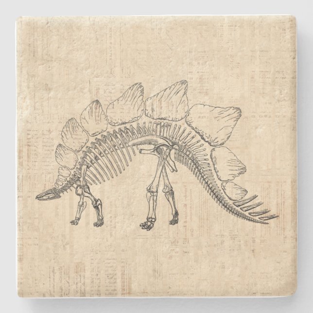 Stegosaurus Dinosaur Skeleton Vintage Script Paper Stone Coaster (Front)