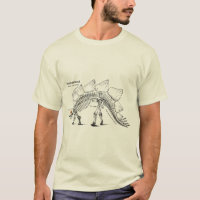 Stegosaurus fossilized skeleton