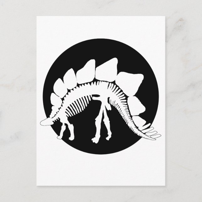stegosaurus skeleton postcard (Front)