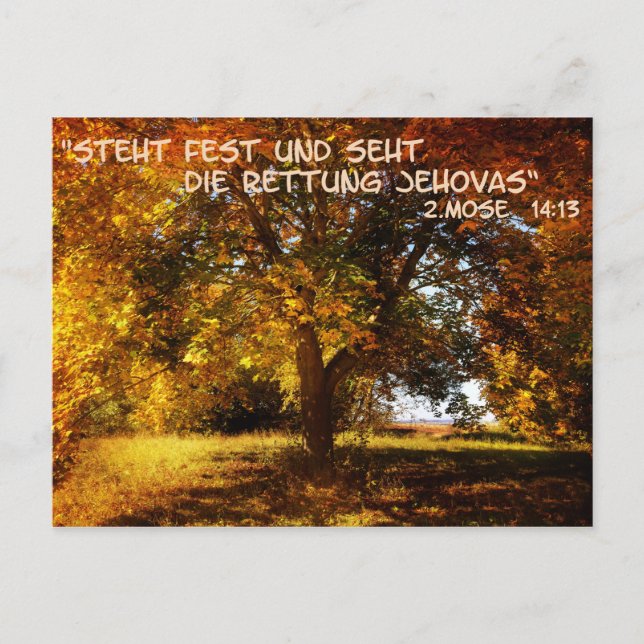 Steht fest und seht die Rettung Postcard (Front)