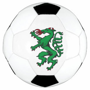 Steiermark Rot Grün Wappen Panther Österreich Soccer Ball