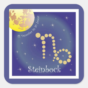 Steinbock 22 December to 20 January sticker