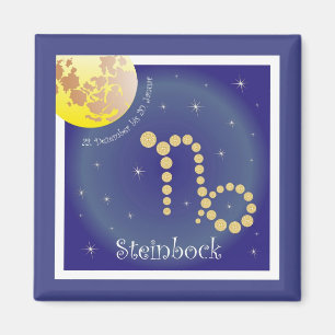 Steinbock 22. Dezember bis 20. Januar Magnet